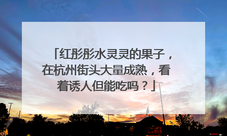 红彤彤水灵灵的果子，在杭州街头大量成熟，看着诱人但能吃吗？