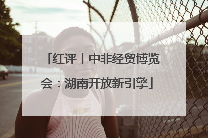 红评丨中非经贸博览会：湖南开放新引擎