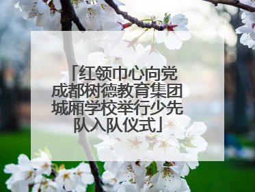 红领巾心向党 成都树德教育集团城厢学校举行少先队入队仪式
