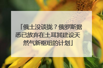 俄土没谈拢？俄罗斯据悉已放弃在土耳其建设天然气新枢纽的计划