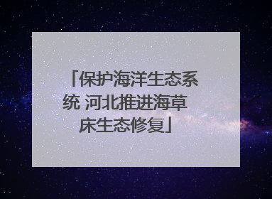 保护海洋生态系统 河北推进海草床生态修复