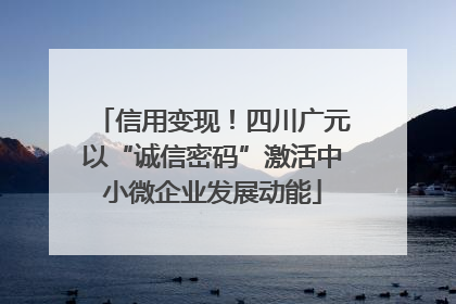 信用变现！四川广元以“诚信密码”激活中小微企业发展动能