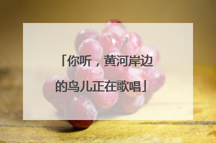 你听，黄河岸边的鸟儿正在歌唱