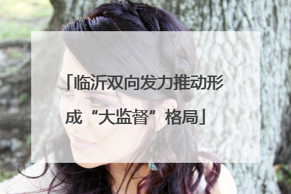 临沂双向发力推动形成“大监督”格局