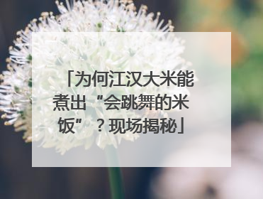 为何江汉大米能煮出“会跳舞的米饭”？现场揭秘