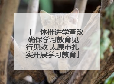 一体推进学查改 确保学习教育见行见效 太原市扎实开展学习教育