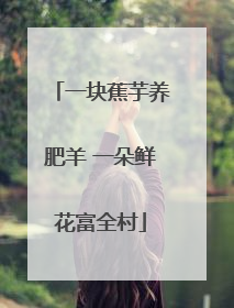 一块蕉芋养肥羊 一朵鲜花富全村