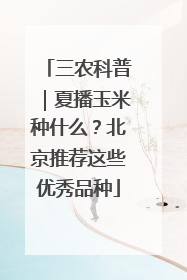 三农科普｜夏播玉米种什么？北京推荐这些优秀品种