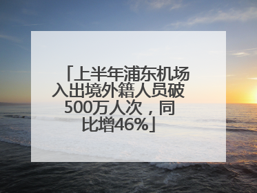 上半年浦东机场入出境外籍人员破500万人次，同比增46%