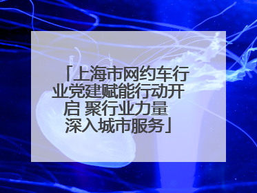 上海市网约车行业党建赋能行动开启 聚行业力量 深入城市服务