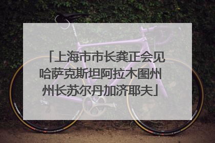 上海市市长龚正会见哈萨克斯坦阿拉木图州州长苏尔丹加济耶夫