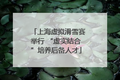 上海虚拟滑雪赛举行 “虚实结合”培养后备人才