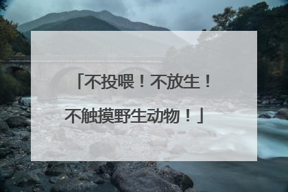 不投喂！不放生！不触摸野生动物！