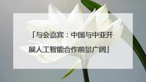 与会嘉宾：中国与中亚开展人工智能合作前景广阔