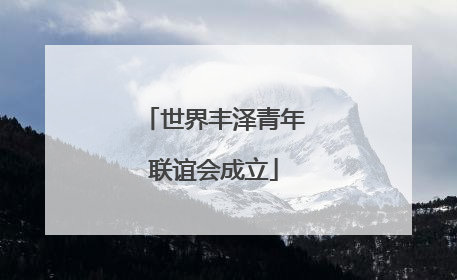 世界丰泽青年联谊会成立