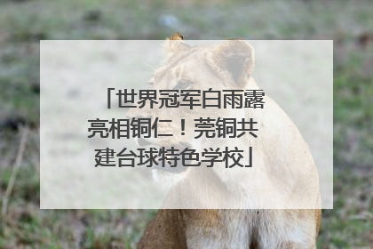 世界冠军白雨露亮相铜仁！莞铜共建台球特色学校