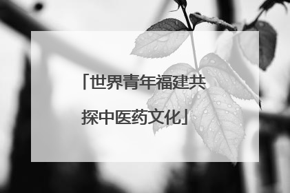 世界青年福建共探中医药文化