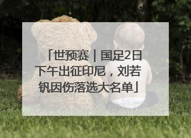 世预赛｜国足2日下午出征印尼，刘若钒因伤落选大名单