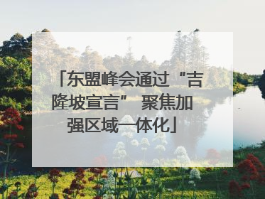 东盟峰会通过“吉隆坡宣言” 聚焦加强区域一体化