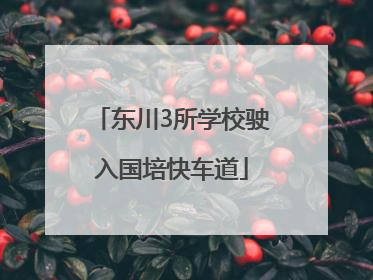 东川3所学校驶入国培快车道