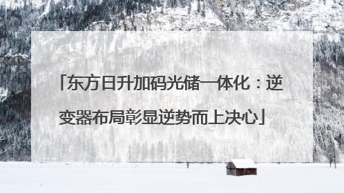 东方日升加码光储一体化：逆变器布局彰显逆势而上决心