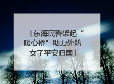 东海民警架起“暖心桥”助力外籍女子平安归国