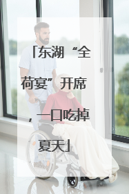 东湖“全荷宴”开席，一口吃掉夏天