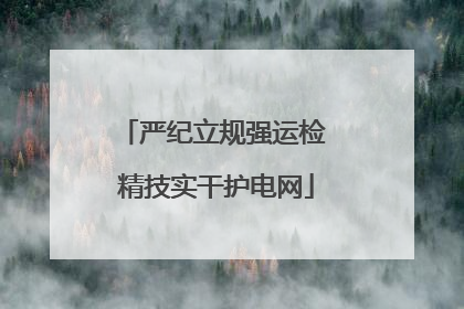 严纪立规强运检 精技实干护电网