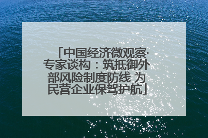 中国经济微观察·专家谈构：筑抵御外部风险制度防线 为民营企业保驾护航