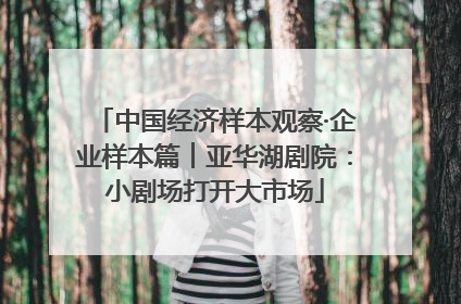 中国经济样本观察·企业样本篇︱亚华湖剧院：小剧场打开大市场