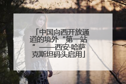 中国向西开放通道的境外“第一站”——西安·哈萨克斯坦码头启用