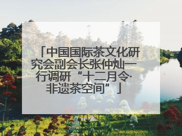 中国国际茶文化研究会副会长张仲灿一行调研“十二月令·非遗茶空间”