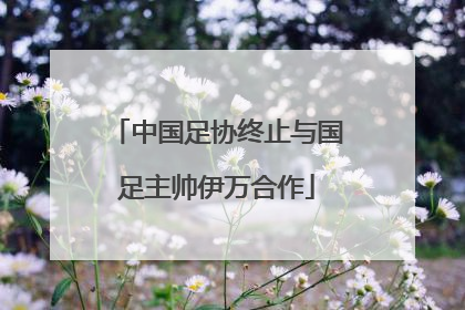 中国足协终止与国足主帅伊万合作