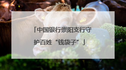 中国银行崇阳支行守护百姓“钱袋子”