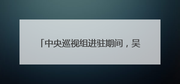 中央巡视组进驻期间，吴建平主动向组织交代问题