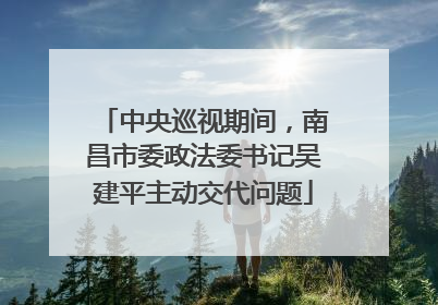 中央巡视期间，南昌市委政法委书记吴建平主动交代问题