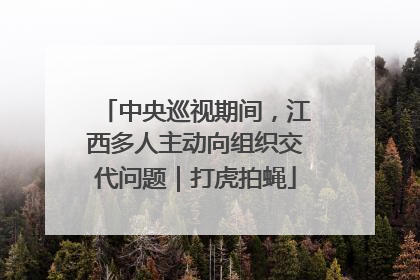 中央巡视期间，江西多人主动向组织交代问题｜打虎拍蝇