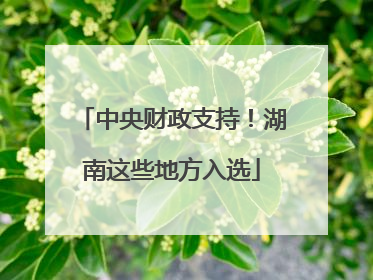 中央财政支持！湖南这些地方入选