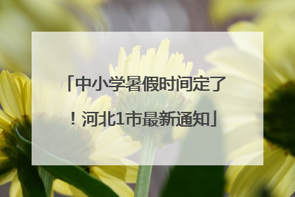 中小学暑假时间定了！河北1市最新通知