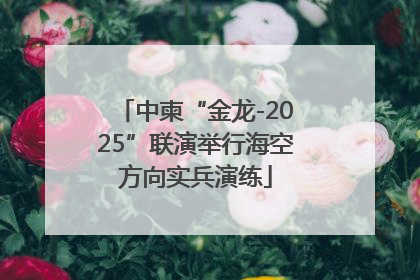 中柬“金龙-2025”联演举行海空方向实兵演练