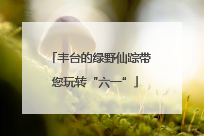 丰台的绿野仙踪带您玩转“六一”
