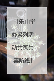 乐山举办系列活动共筑禁毒防线