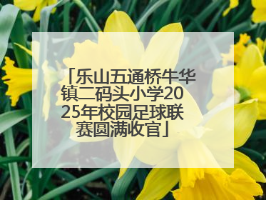 乐山五通桥牛华镇二码头小学2025年校园足球联赛圆满收官