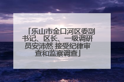 乐山市金口河区委副书记、区长、一级调研员安沛然 接受纪律审查和监察调查