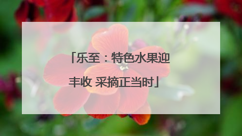 乐至：特色水果迎丰收 采摘正当时