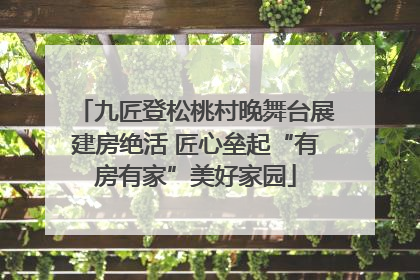 九匠登松桃村晚舞台展建房绝活 匠心垒起“有房有家”美好家园