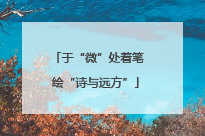 于“微”处着笔 绘“诗与远方”