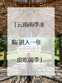 云南雨季来临 进入一年一度吃菌季