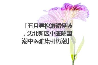 五月寻槐邂逅怪坡，沈北新区中医院国潮中医雅集引热潮
