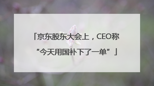 京东股东大会上，CEO称“今天用国补下了一单”